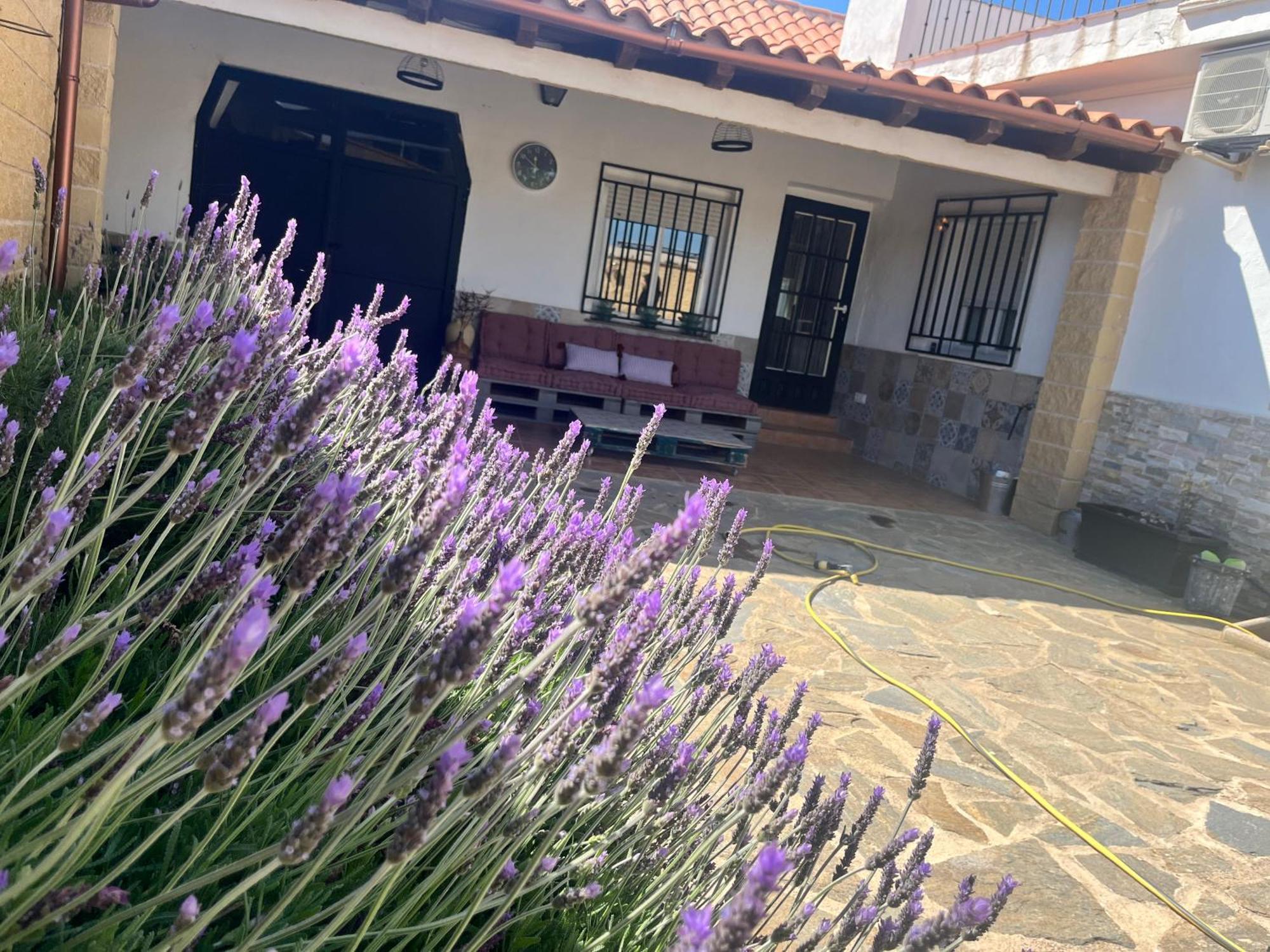 Casa Rural Valentina Almonacid de Toledo Eksteriør bilde